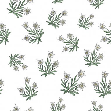 Edelweiss seamless modeli