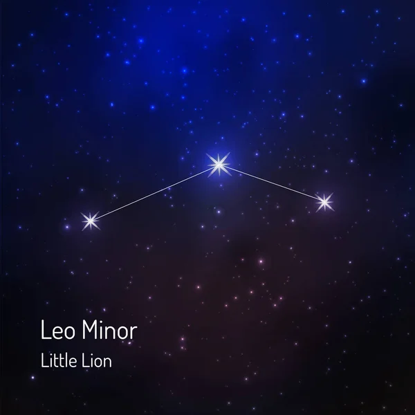 Kleiner Löwe leo kleines Sternbild am nächtlichen Sternenhimmel. — Stockvektor