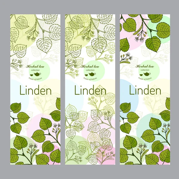 Συλλογή τσάι από βότανα. Linden banner σετ. — Διανυσματικό Αρχείο