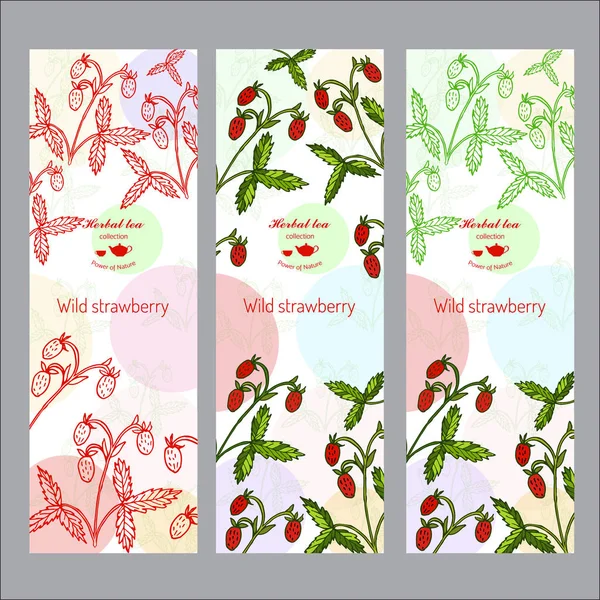 Kräuterteesammlung. Banner mit wilden Erdbeeren — Stockvektor