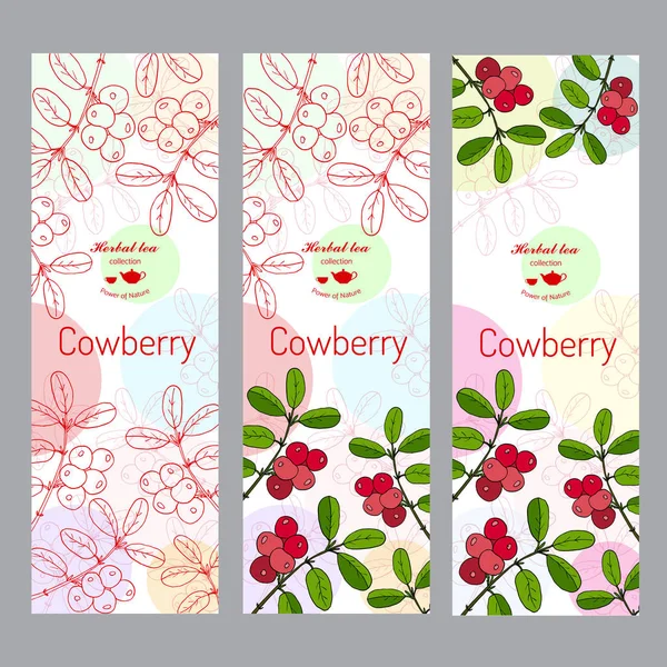 Collezione di tisane. Set di striscioni di cowberry — Vettoriale Stock