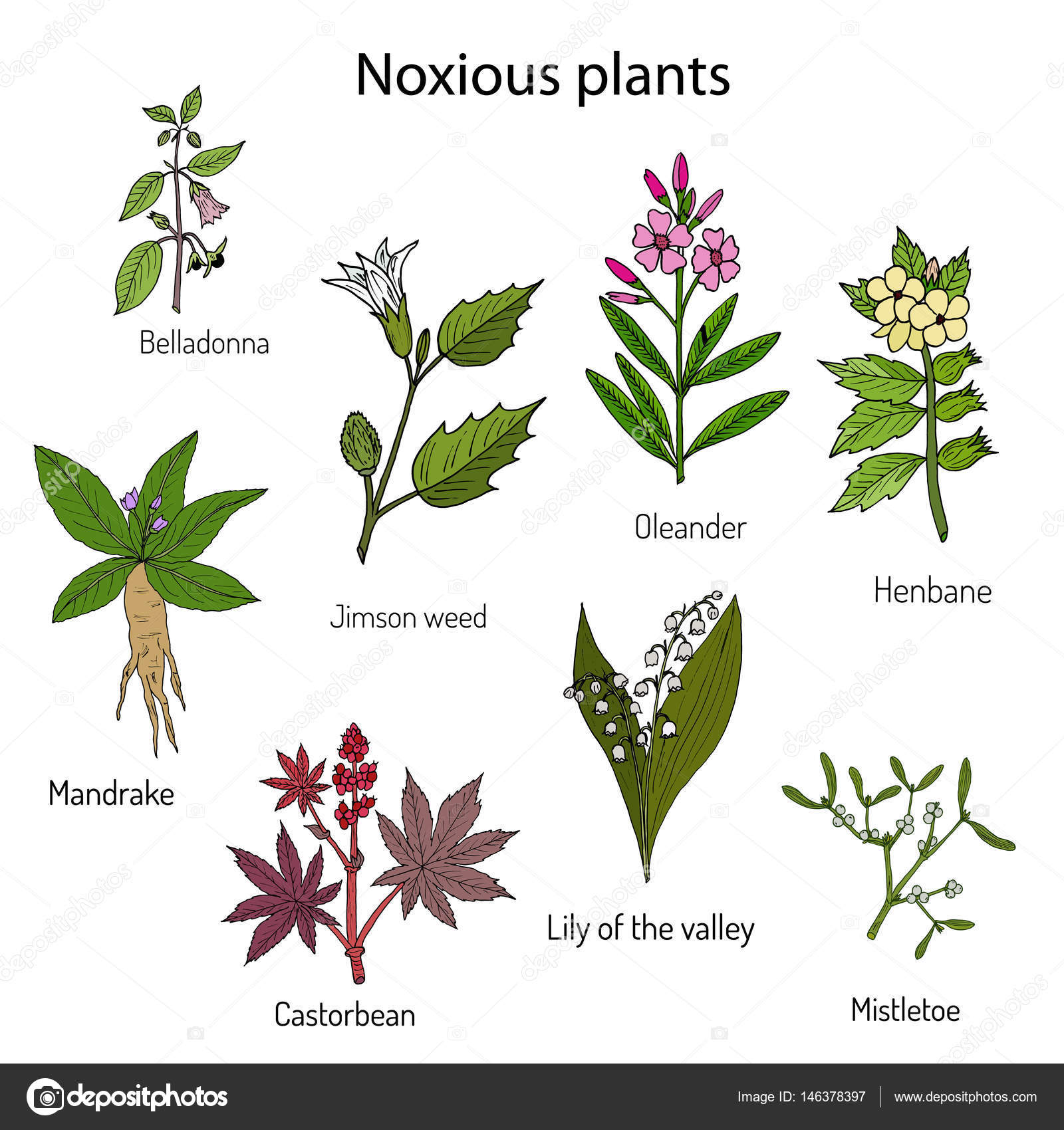 Poisonous plants collection. Stock Vector Image by ©Foxyliam 146378397