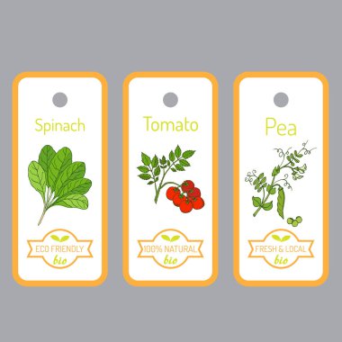 Elle çizilmiş sebze ile vektör etiket kümesi