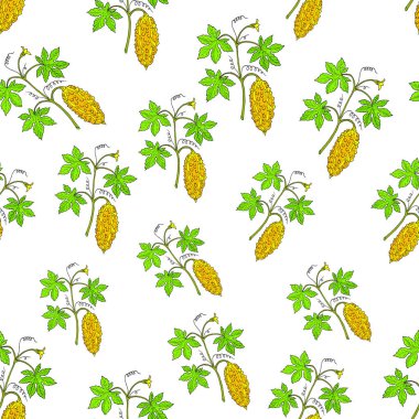 Acı kavun seamless modeli