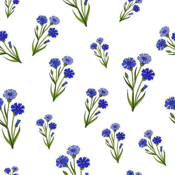 Seamless pattern with cornflowers — Stock Vector