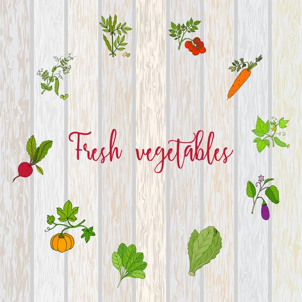 Conjunto de etiquetas vectoriales con verduras dibujadas a mano — Vector de stock