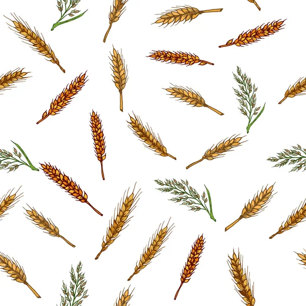 Céréales motif sans couture. Orge, seigle, avoine, riz et blé — Image vectorielle