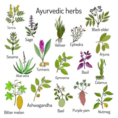 Ayurveda otlar, doğal botanik seti