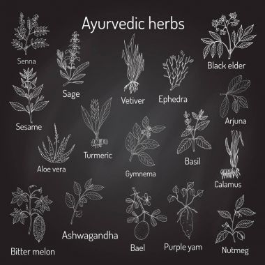 Ayurveda otlar, doğal botanik seti