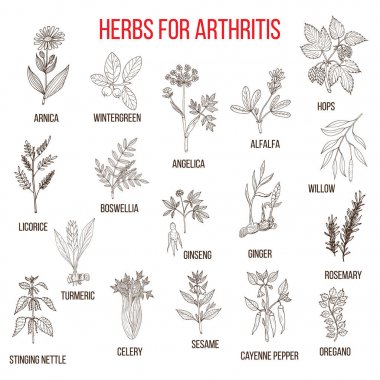 Savaşmak için artrit boswellia, willow, kereviz, zencefil, arnica, wintergreen, andelica, yonca, hop, meyan kökü, ginseng, biberiye, zerdeçal, tel çekimi ısırgan otu, susam, kırmızı biber, kekik otlar