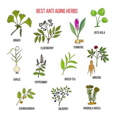 Otlar anti-aging topluluğu
