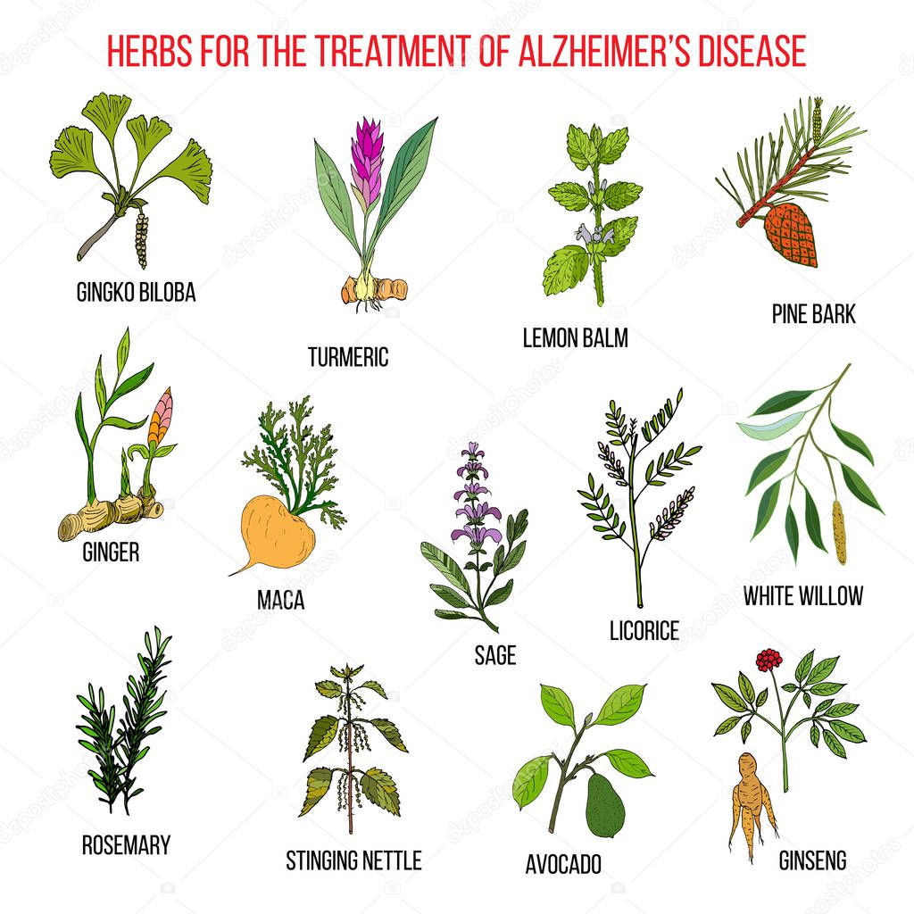 Collection of herbs for Alzheimer disease