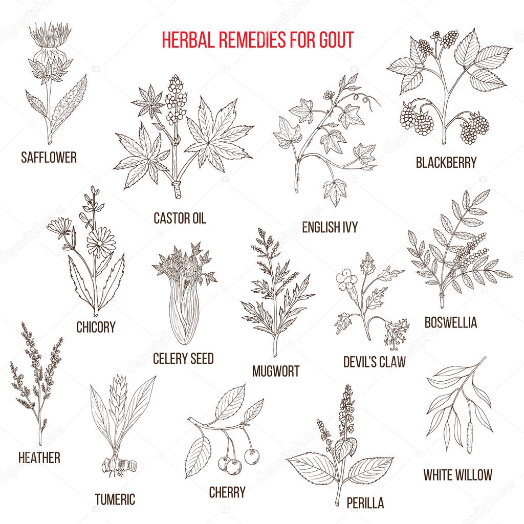 Collection of natural herbs for gout