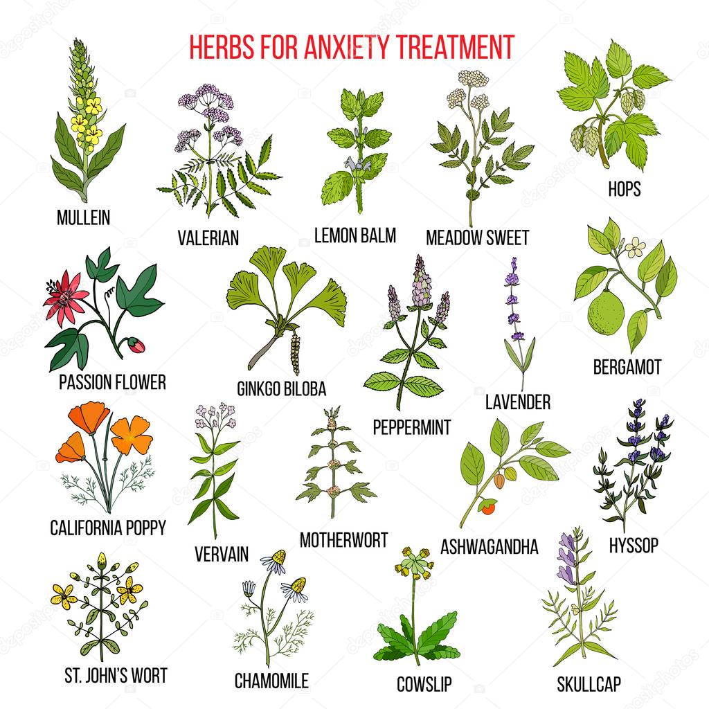 Collection of herbs for anxiety treatment