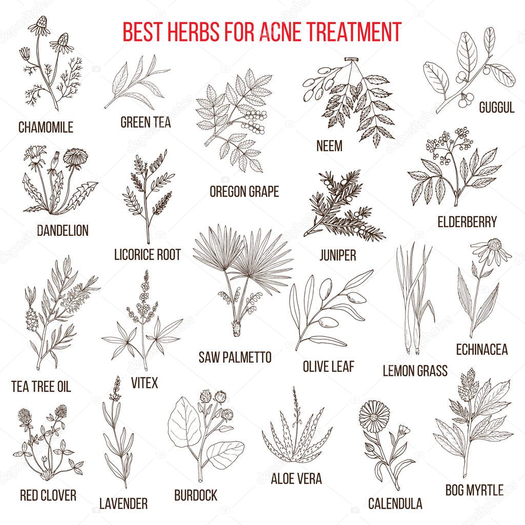 Collection of herbs for acne treatment