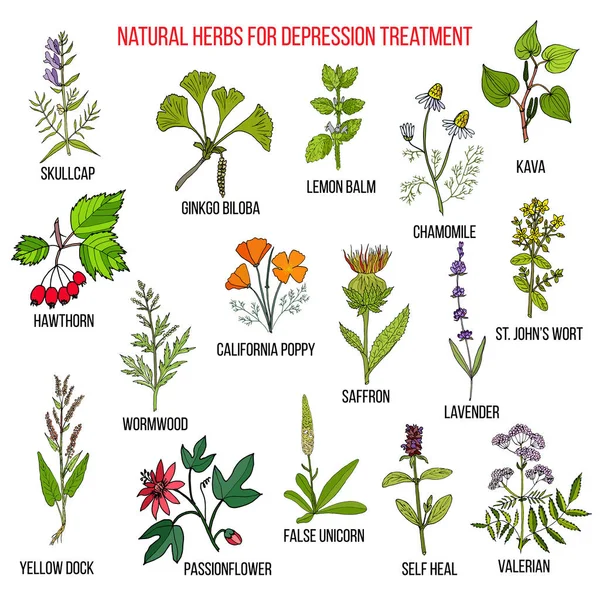 Meilleurs remèdes à base de plantes pour la dépression — Image vectorielle
