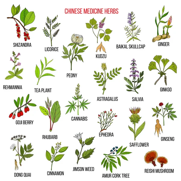 Hierbas medicinales chinas — Archivo Imágenes Vectoriales