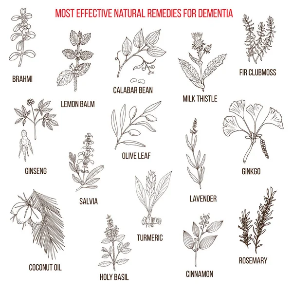 Melhores remédios à base de plantas para a demência —  Vetores de Stock