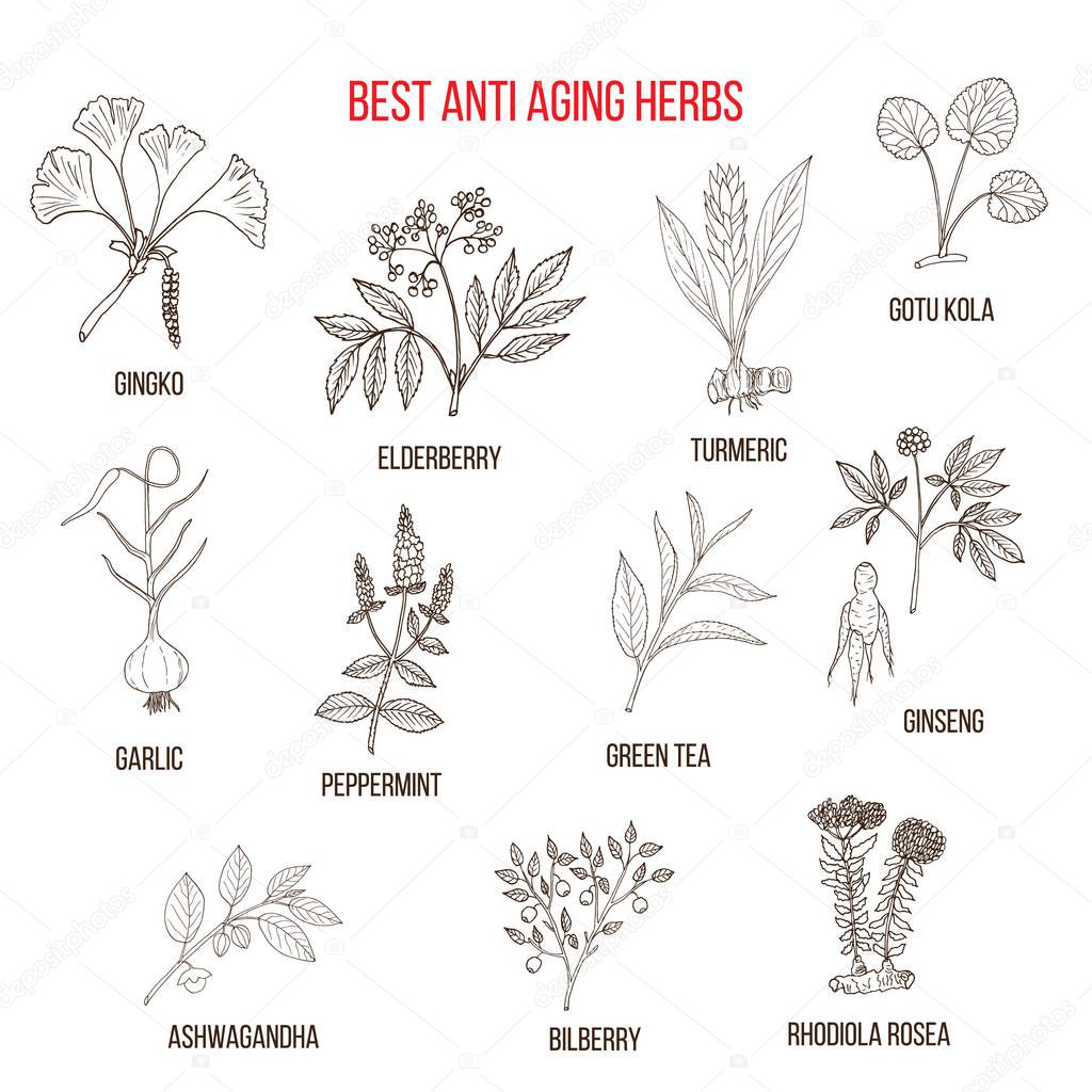 Collection of anti-aging herbs