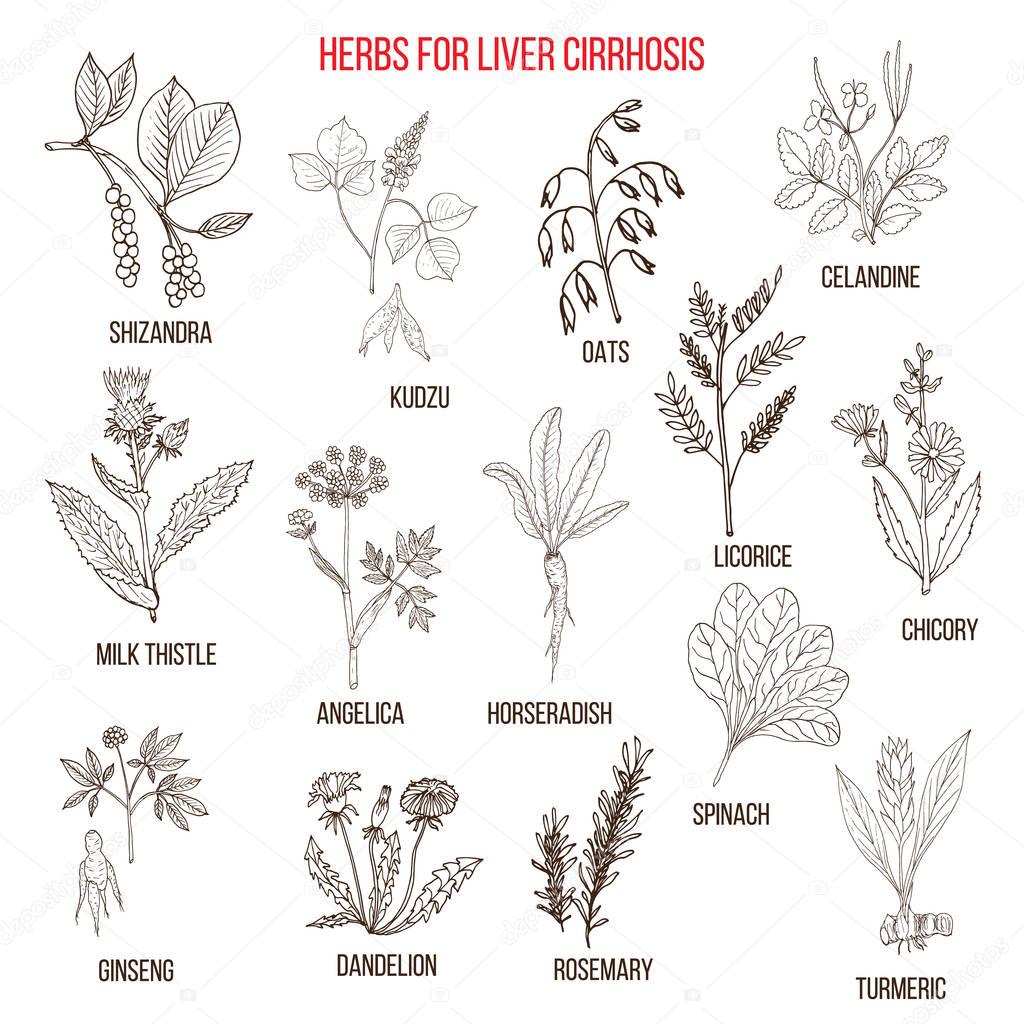 Best herbal remedies for liver cirrosis