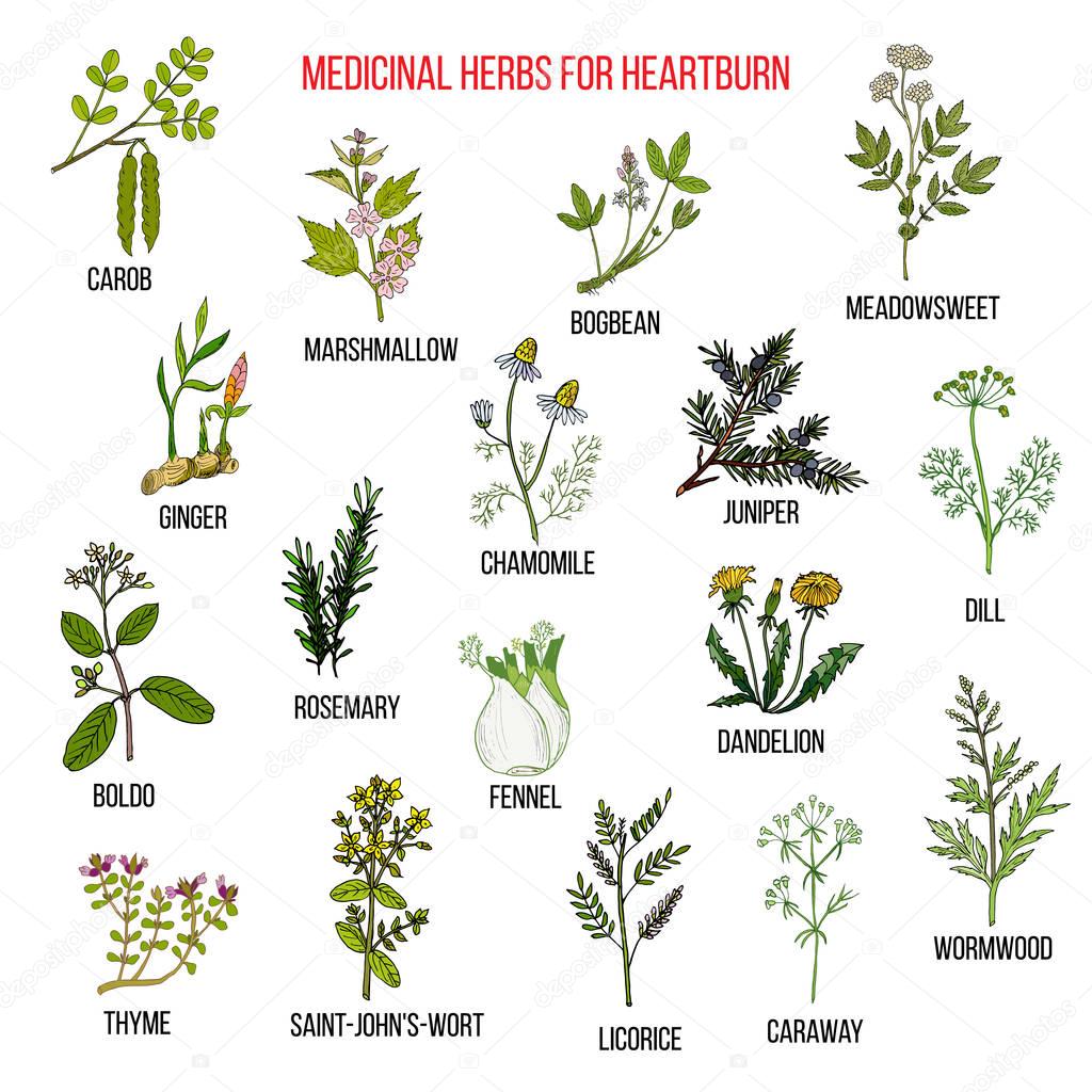 Best herbal remedies for heartburn