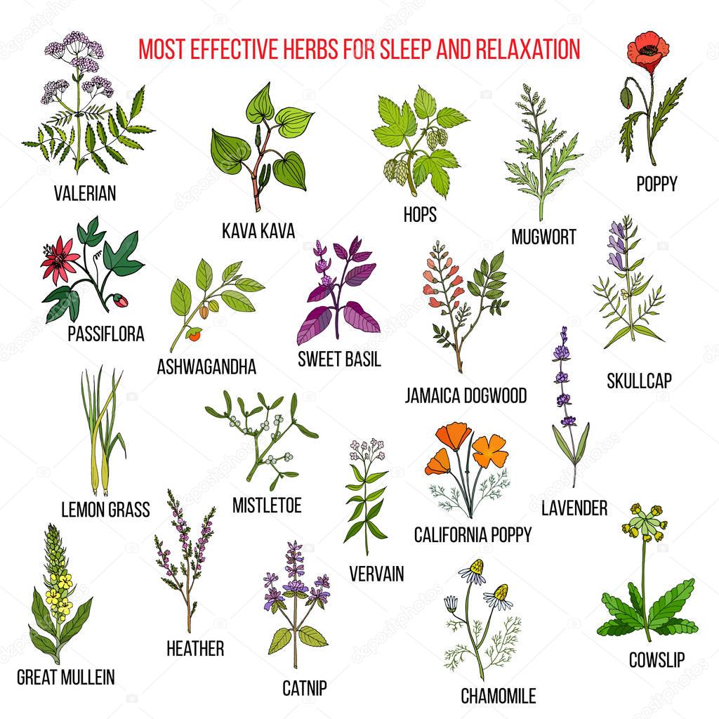 Best herbal remedies for sleep and relaxation