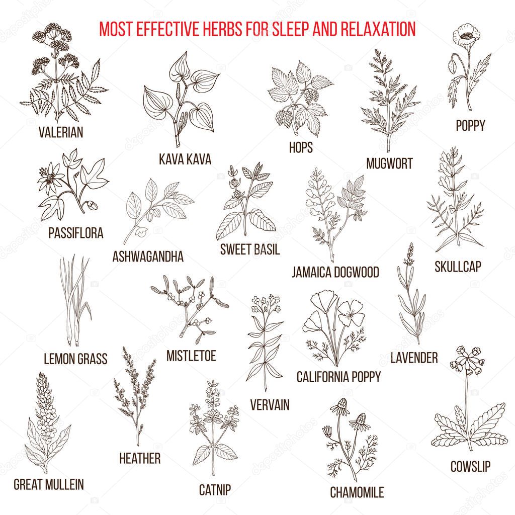 Best herbal remedies for sleep and relaxation