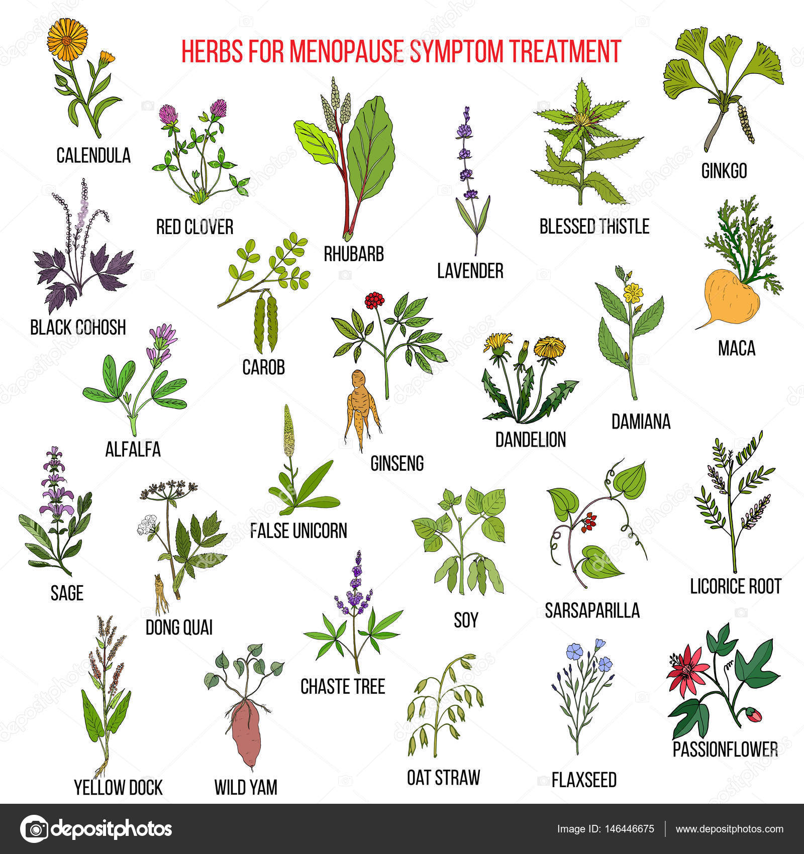 plante pour la ménopause plante pour la ménopause