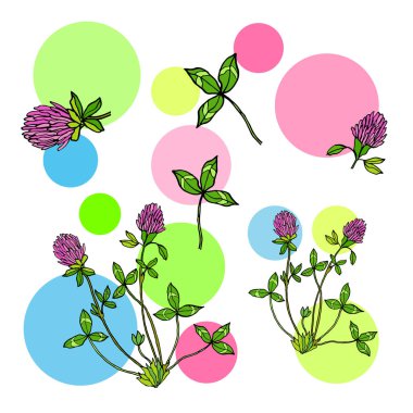 Kırmızı yonca yaprak ve çiçek ile arka plan