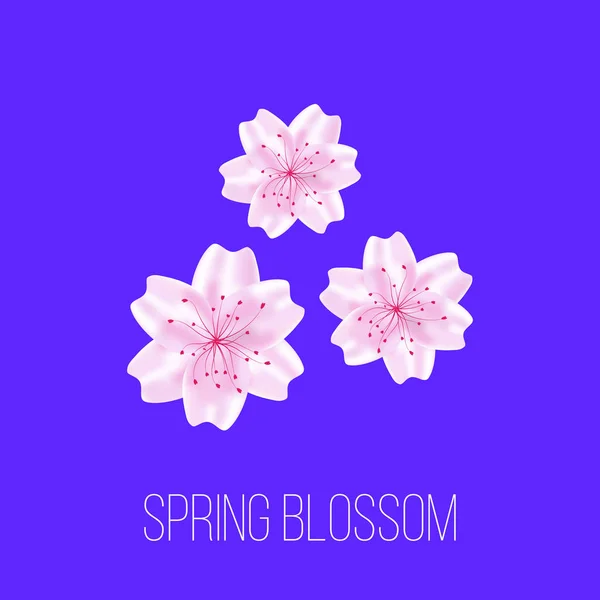 Cartão de primavera com flores sakura . — Vetor de Stock