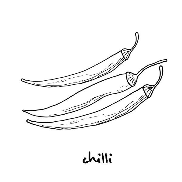 Chili peper. vectorillustratie — Stockvector