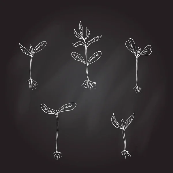 豆芽幼小的植物。手绘 — 图库矢量图片