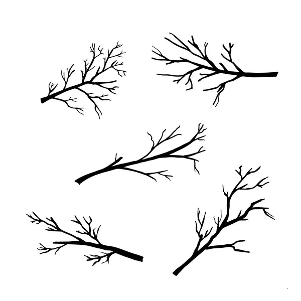 Silhuetas desenhadas à mão de galhos de árvores —  Vetores de Stock