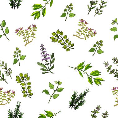 el çekilmiş otlar ve baharatlar.