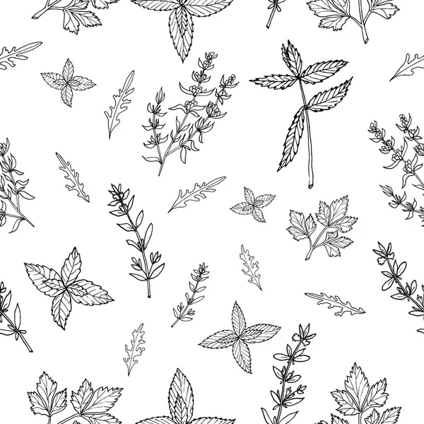 Motif sans couture avec des herbes — Image vectorielle