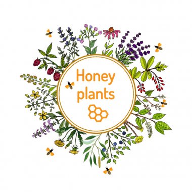 nectar sources for honey bees clipart