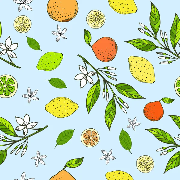 Seamless pattern with lemons, oranges, limes — Stock Vector