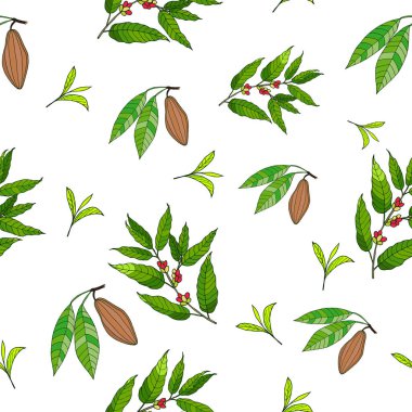 Kahve, kakao ve çay ile Seamless Modeli