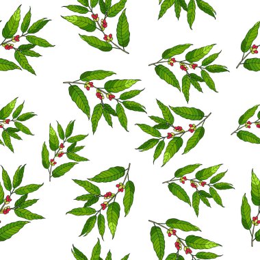 İle Seamless Modeli el çekilmiş kahve