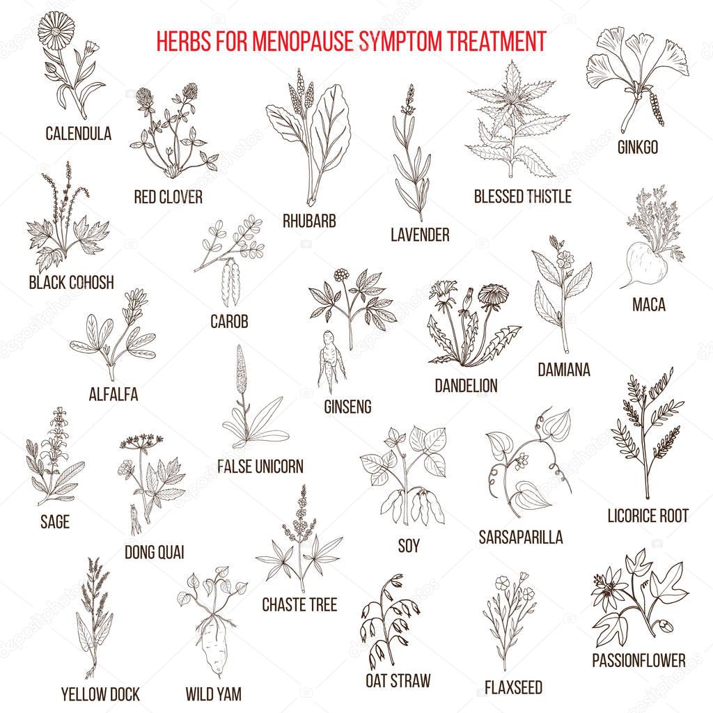 Best herbs for menopause symptom treatment