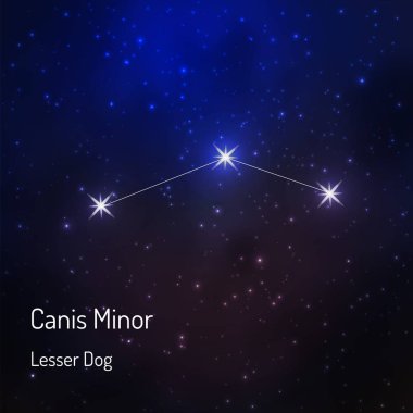 constellation in the night starry sky clipart