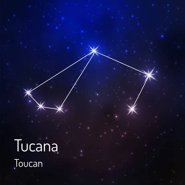Stjärnbild på den stjärnklara natthimlen — Stock vektor