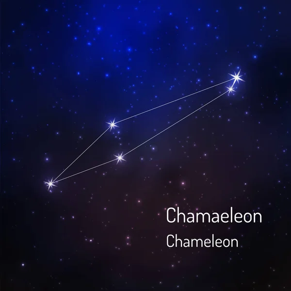Gece yıldızlı gökyüzü takımyıldızı — Stok Vektör