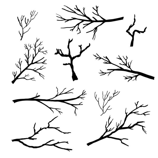 Hand drawn silhouettes of tree branches