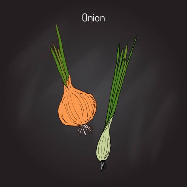 el çekilmiş soğan