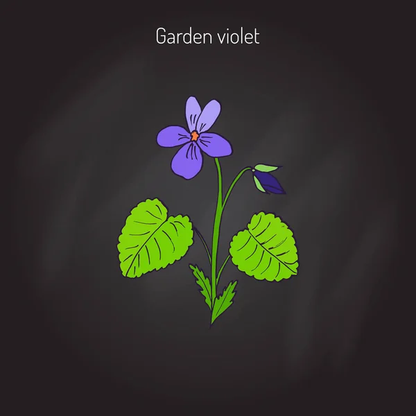Madera flor violeta — Vector de stock