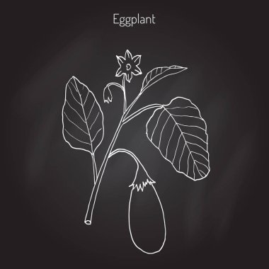 Yaprak ve çiçek ile patlıcan