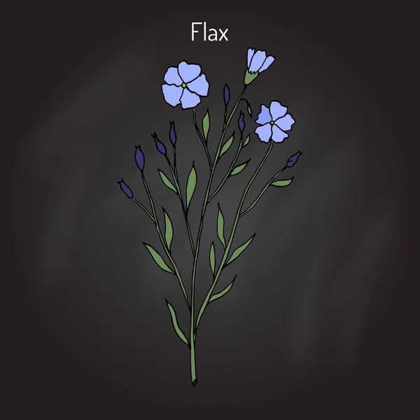 Plante de lin avec des fleurs — Image vectorielle