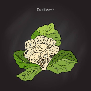 yaprakları ile karnabahar