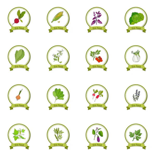 Ensemble d'aliments écologiques — Image vectorielle